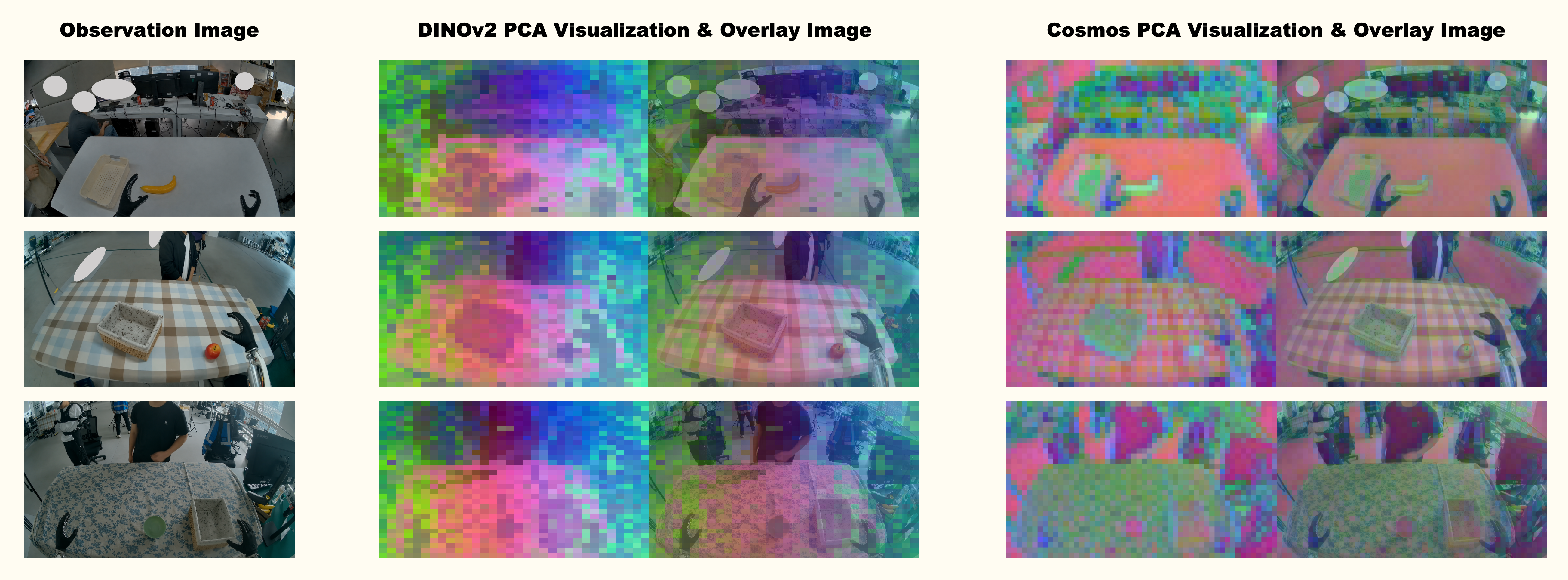 PCA visualization of representations