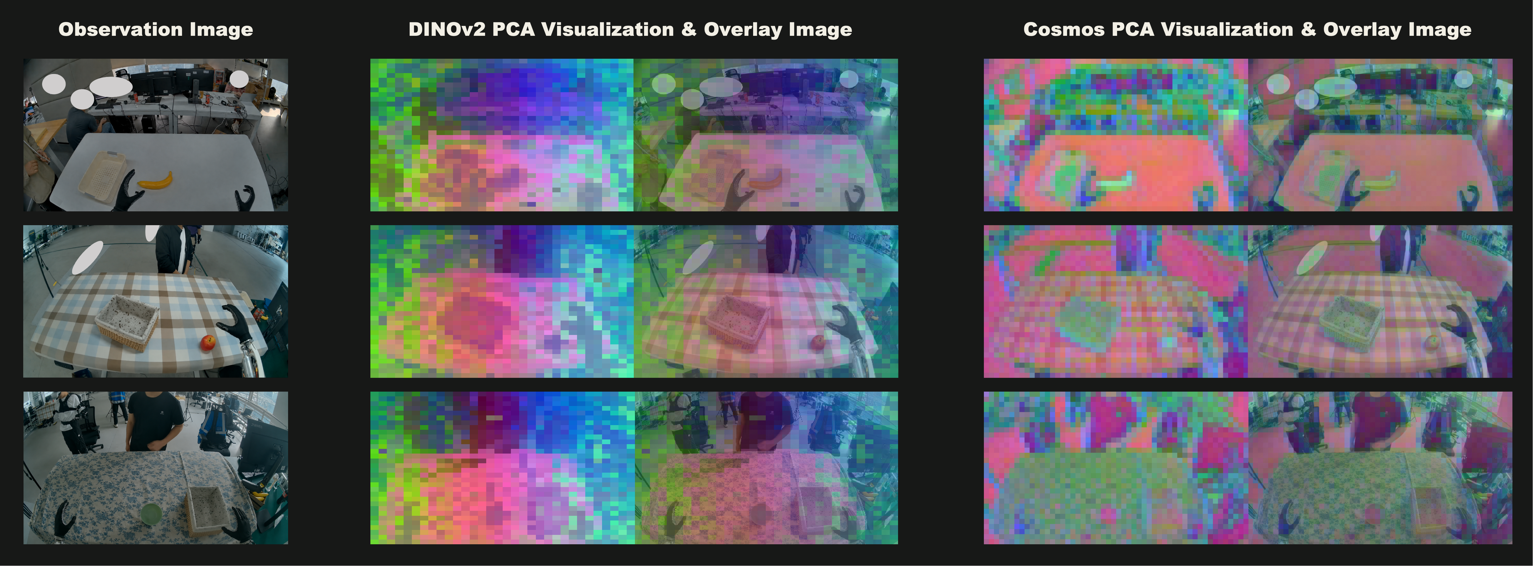 PCA visualization of representations