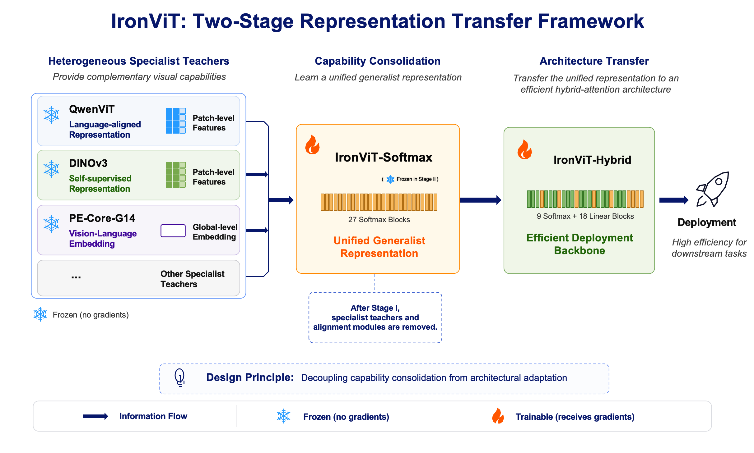 IronViT two-stage representation transfer framework