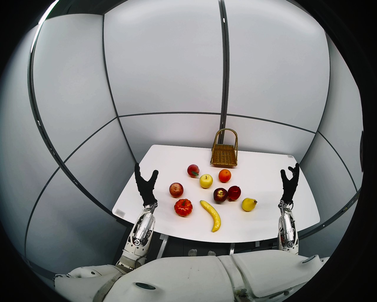 Iron robot fisheye sensor view