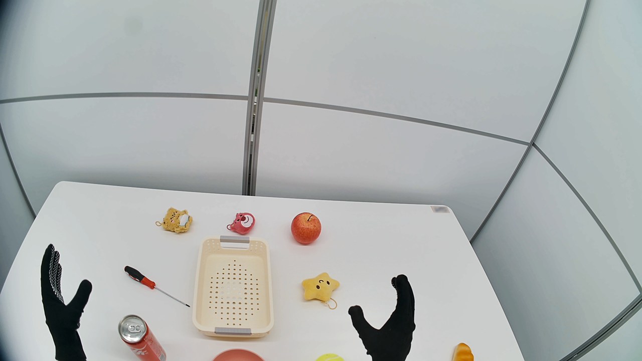 Iron robot top-down sensor view (gloved grippers)